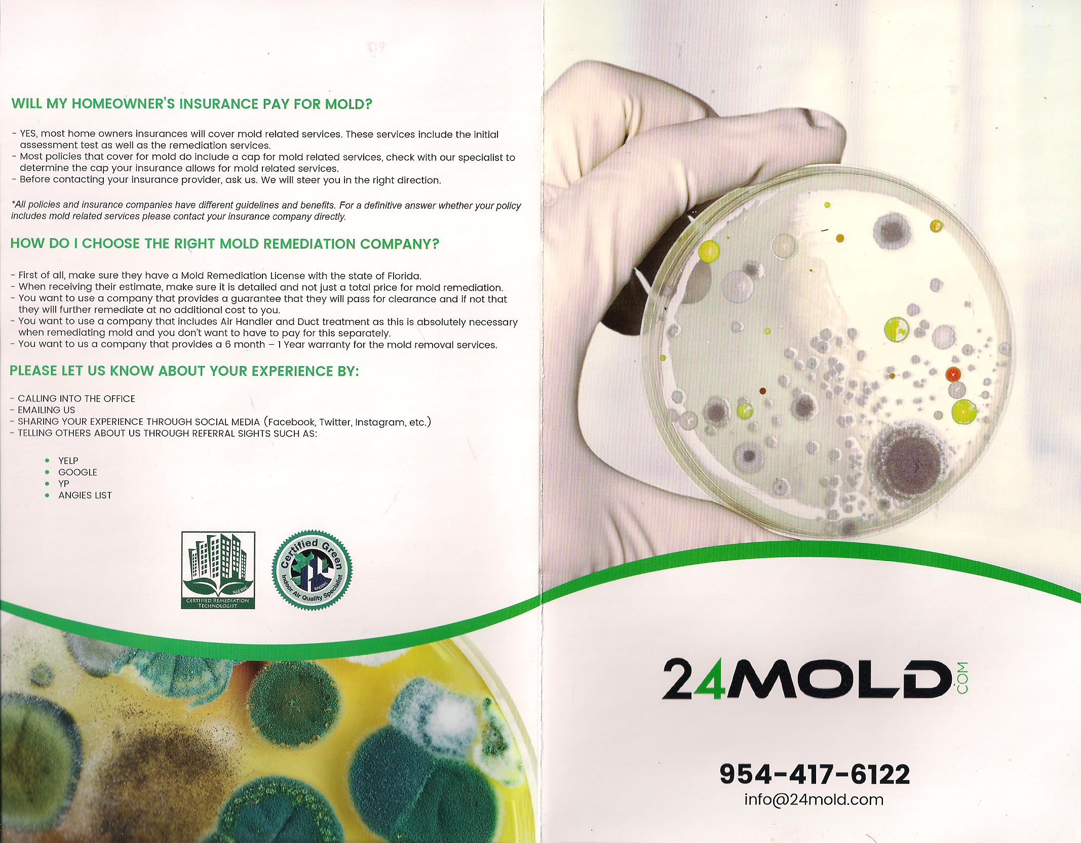 Ft Lauderdale Hollywood Florida Mold Inspection
